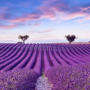 La Maison Des Collines Alloggio in famiglia Allemagne-en-Provence